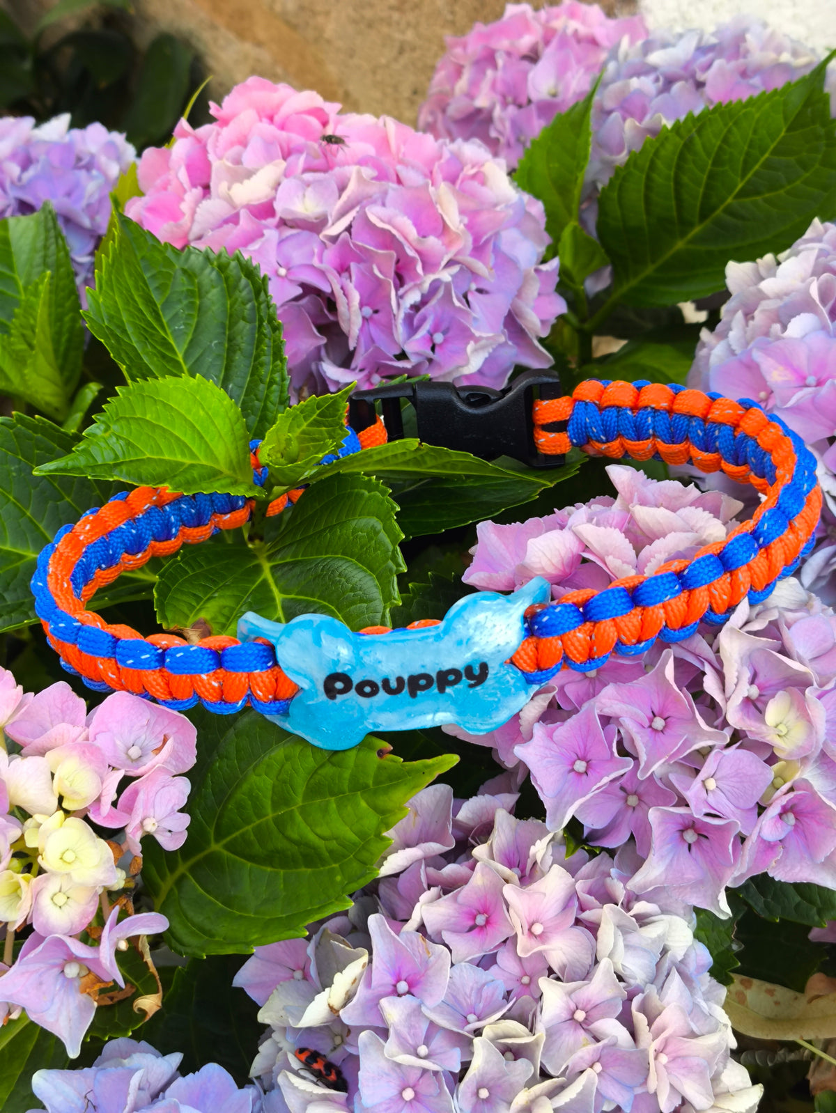 Colliers pour chien en para corde