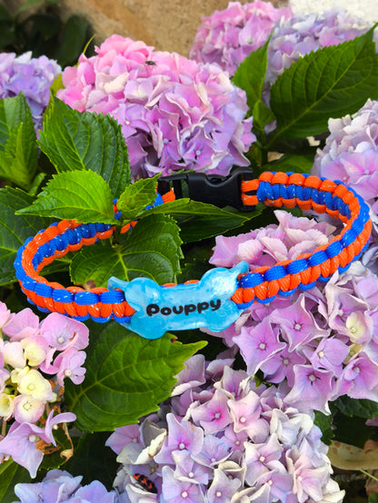 Collier pour chien artisanales en paracorde
