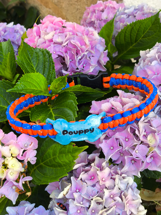 Collier pour chien artisanales en paracorde