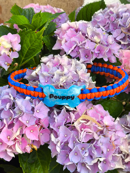 Collier pour chien artisanales en paracorde